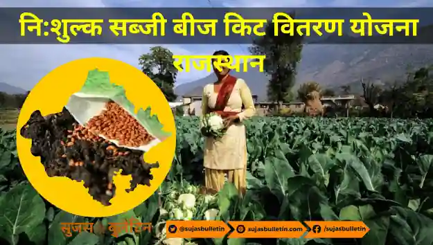 Free Vegetable seed Kit Yojana Rajasthan 2023