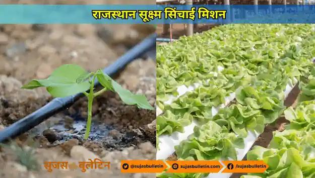 कृषि विभाग राजस्थान योजना 2023 : वित्तीय सहायता से आधुनिक तकनीक तक किस प्रकार किसानों की मदद कर रही राजस्थान सरकार की योजनाएं