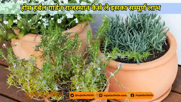 क्या है होम हर्बल गार्डन राजस्थान कैसे ले इसका सम्पूर्ण लाभ home herbal garden rajasthan