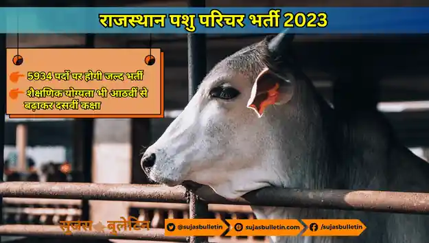 राजस्थान पशु परिचर भर्ती 2023 के द्वारा 5934 पदों पर होगी जल्द भर्ती देखे पूरा विवरण
