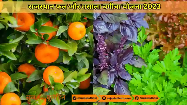 राजस्थान फल एवं मसाला बगीचा योजना 2023 : किसानों को फल और मसाला बगीचे के लिए मिलेगा प्रोत्साहन rajasthan fal and masala yojana 2023
