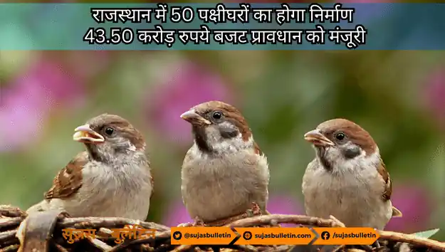 राजस्थान में 50 पक्षीघरों का होगा निर्माण - 43.50 करोड़ रुपये बजट प्रावधान को मंजूरी rajasthan get 50 bird house