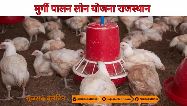 Rajasthan Poultry Farm Loan